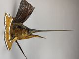 une sculpture représentant un poisson posé sur un morceau de bois