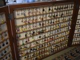a display case with many different types of earrings on it