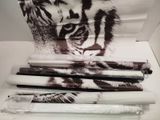 a picture of a tiger on a table with pens and paper