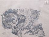 a drawing of a bear laying down on the ground