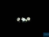two white pearls are sitting on a black surface in the dark