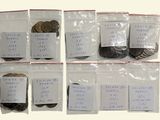 six bags of coins in each of them with a price tag