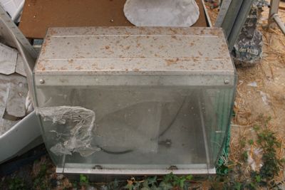a broken toilet in a glass box on the ground