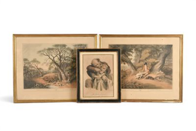 deux reproductions encadrées représentant deux animaux dans un environnement boisé