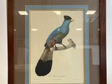 painting of a blue bird sitting on a branch in a frame