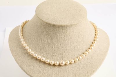 collier de perles présenté sur un mannequin devant un fond blanc