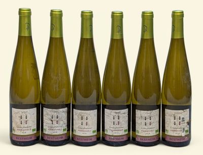 six bouteilles de vin sont alignées sur une surface blanche
