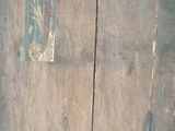 a cat that is sitting on the floor in front of a door