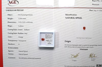 un certificat sur lequel figure l'image d'un diamant rouge
