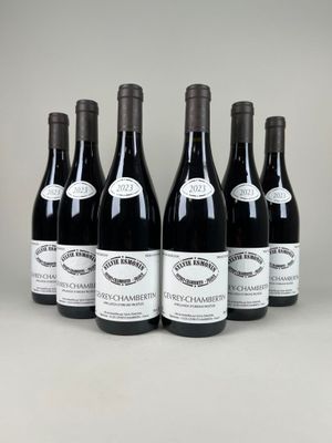 six bouteilles de vin sont alignées dans une rangée