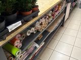 many plants on the counter in the store