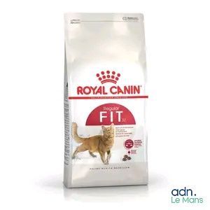 Royal Canin FE1 : croquettes pour chats adultes