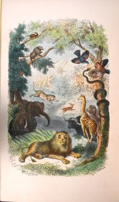 une image représentant un livre contenant des illustrations d'animaux