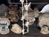 une présentation de coquillages et d'autres objets sur une étagère