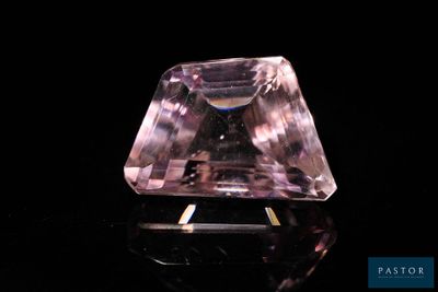 améthorate violet sur une surface noire avec un fond noir