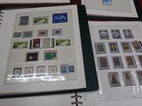 beaucoup de timbres sur les pages d'un classeur