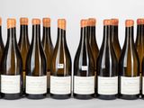 six bouteilles de vin sont alignées sur une table