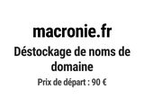 Photo 1/1 du lot