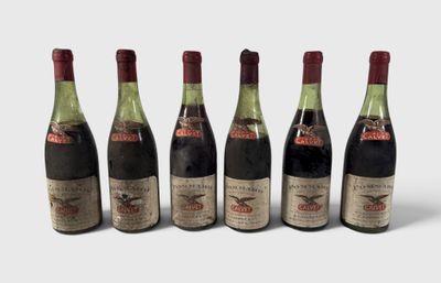 six bouteilles de vin sont alignées sur une surface blanche