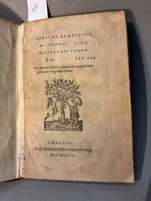 un livre ouvert sur lequel figure l'image d'un arbre