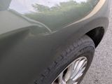 a close up of a car ' s front bumper with a cat on it