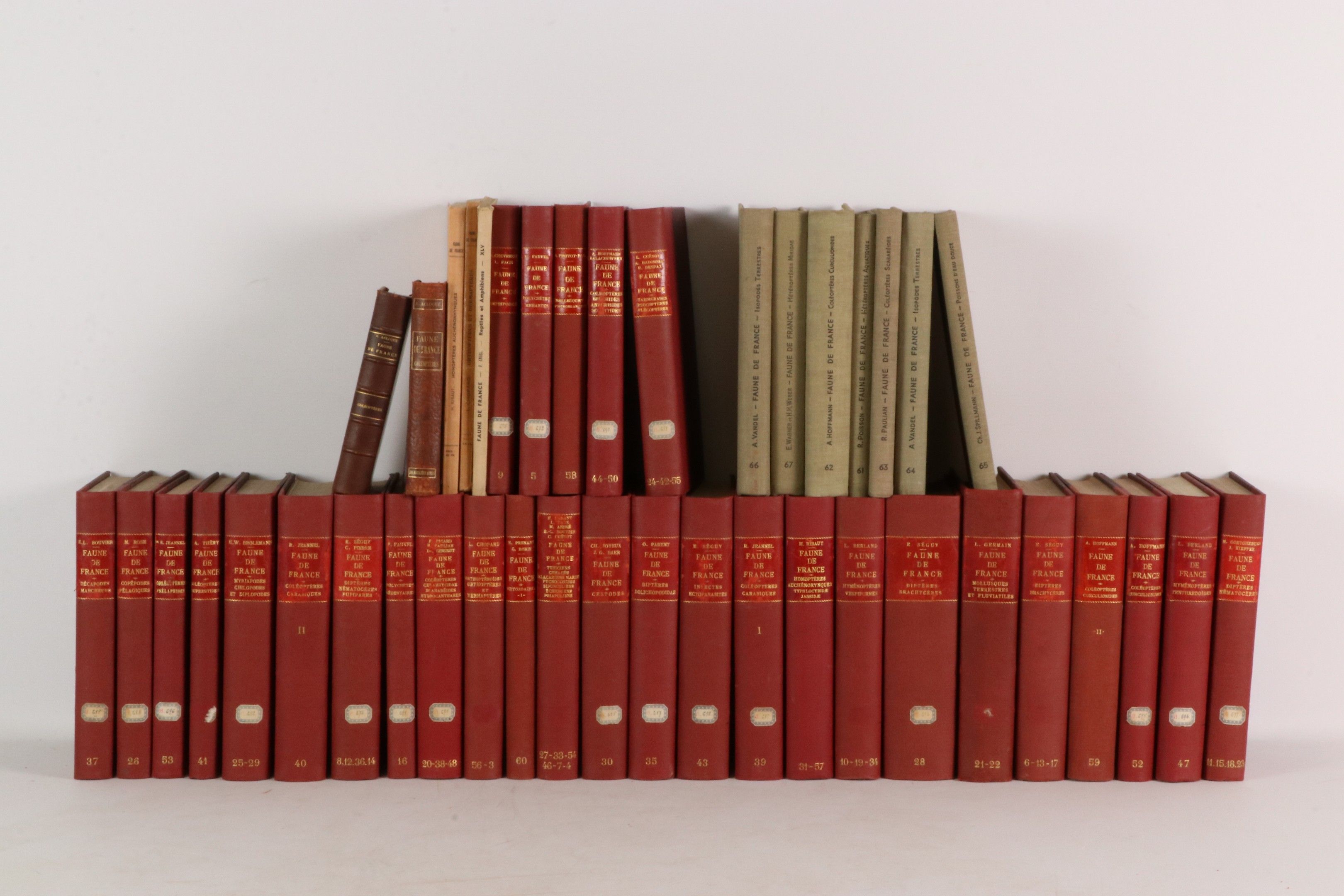 [ZOOLOGIE] Faune de France. Ensemble de 42 volumes reliés ou…