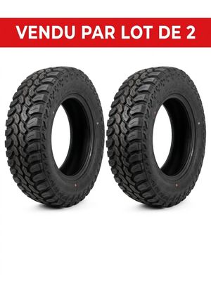 lot de 2 pneus pour le « vendu par lot de 2 »