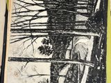Photo 10/40 du lot