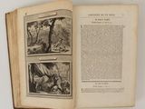 an open book with pictures of animals and birds on it