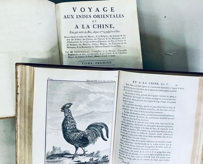 an open book with a picture of a rooster on it