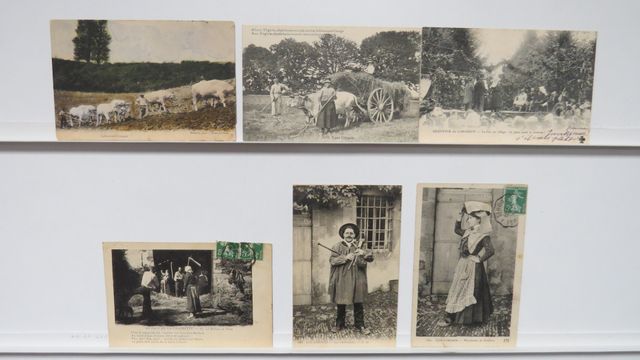 Types creusois + Types limousins : Lot de 6cpa (1 avec 1 pli ; le...