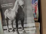 a book in a box with a picture of a horse