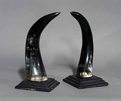 une paire de cornes noires et argentées posées sur des socles noirs, sur fond gris