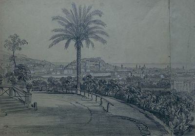 un dessin représentant une vue de ville avec un palmier au premier plan
