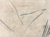 a drawing of a man in a suit and tie