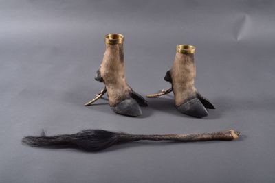 Queue et deux sabots de Hippotrague Rouan (Hippotragus equin…