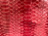 snake skin pattern on a red background with a white background