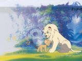 Cellule d'animation tirée du film « Le lion et l'agneau » de Walt Disney