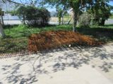 un tas de grillage posé par terre près d'un arbre