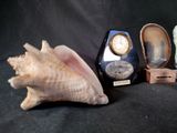 three seashells and a clock sitting on a table
