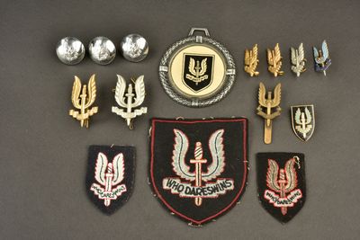 Plusieurs insignes militaires de différents types sont exposés sur une table.