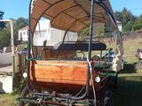 a horse drawn carriage that is parked in the grass