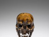 Photo 1/1 du lot