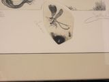 a picture of a drawing of a dragonfly and a dragon fly