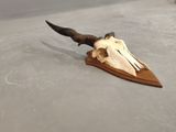 a deer skull on the floor with a knife in it
