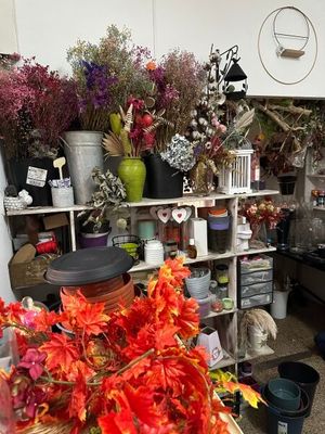 fleurs séchées vases 1 bolduc rouleaux emballage - Photo 1