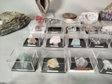 a lot of rocks and stones in a display case