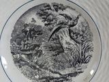a black and white plate with a picture of a bird on it