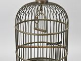 un oiseau en cage sur fond blanc