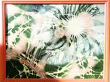 la photo d'une photo représentant un cactus dans un cadre